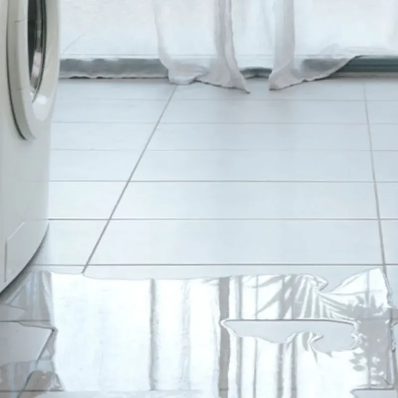 Appliance Leak Cleanup in Lowell, MI