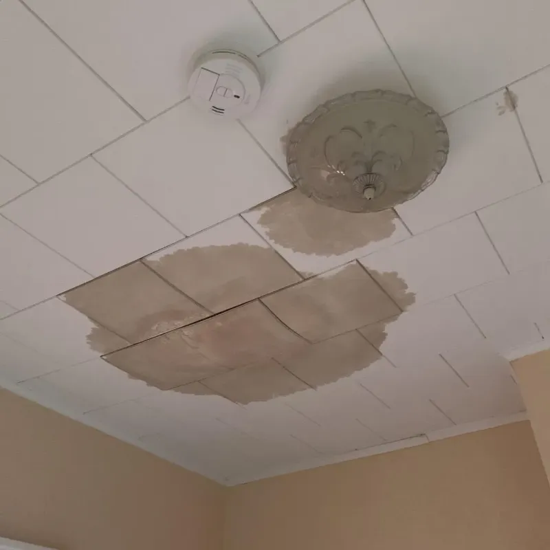 Ceiling Water Damage Repair in Lowell, MI