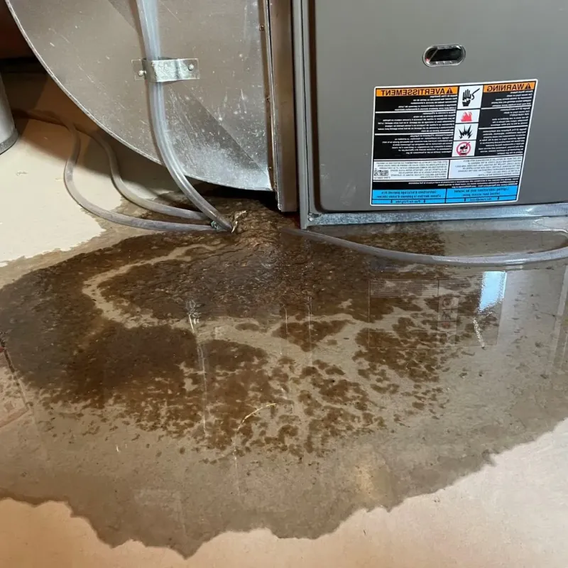 Pipe Burst and Leak Restoration in Lowell, MI