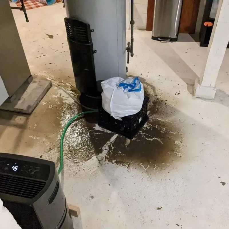 Sewage Backup Cleanup Service in Lowell, MI